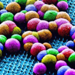 062425 PD skincell main