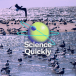 2506 SQ MON BIRDFLU 1 Website Span2