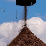 Wood Pellet Mills Are Prone to Catching Fire. Why Build Them in California?