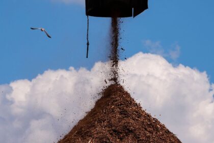 Wood Pellet Mills Are Prone to Catching Fire. Why Build Them in California?