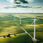 Research and Policy Center Three Most Popular Articles of 2023 Sustainability