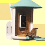 Best Bird Feeders With Cameras, Tested and Reviewed (2025)