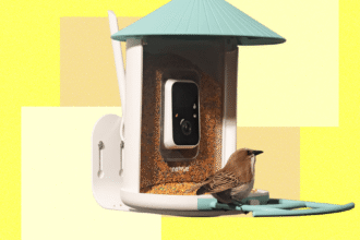 Best Bird Feeders With Cameras, Tested and Reviewed (2025)