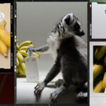banana scaled