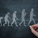 from darwin to wall street scaled