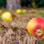 generational wealth does the apple fall far from the tree scaled