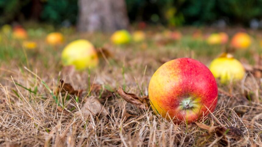 generational wealth does the apple fall far from the tree scaled