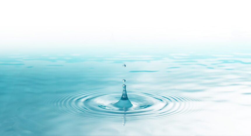 shutterstock 1253863516 scaled