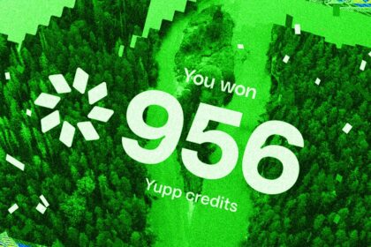 This Chatbot Tool Pays Users $50 a Month for Their Feedback on AI Models