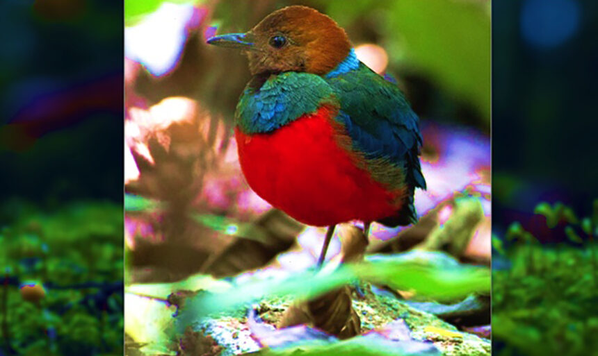 A Natural Capital Approach to Sustainable Investing A Tribute to Pitta