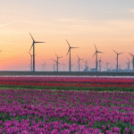 ESG Affirmations and Surprises Asset Managers Look to the Future