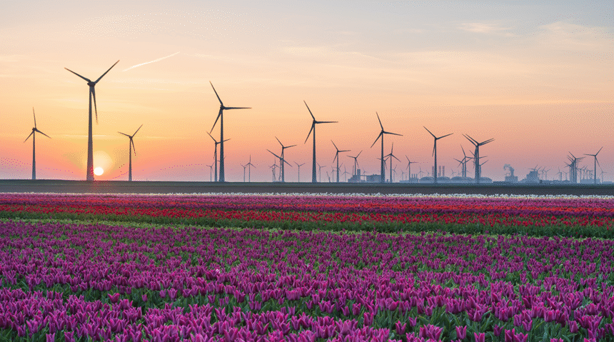 ESG Affirmations and Surprises Asset Managers Look to the Future