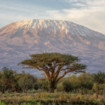 Eight Reasons Why Africa Is Primed for Impact Investing