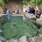 Ethiq Well.webp