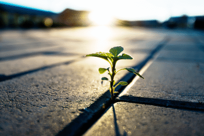Factor Performance Will the Comeback Persist