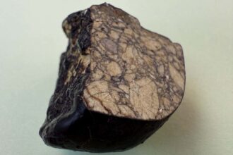 SEI 257814052