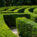 Scenario Planning and Net Zero