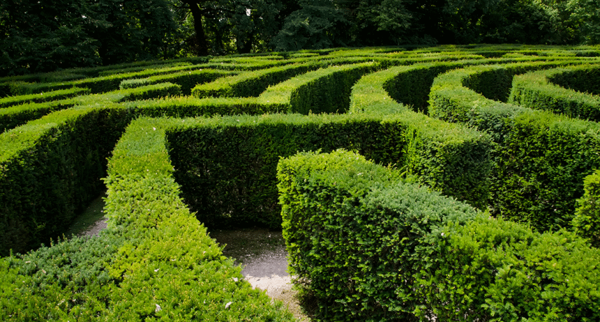 Scenario Planning and Net Zero