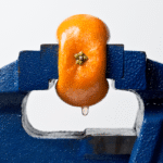 Short Squeezes A Four Factor Model