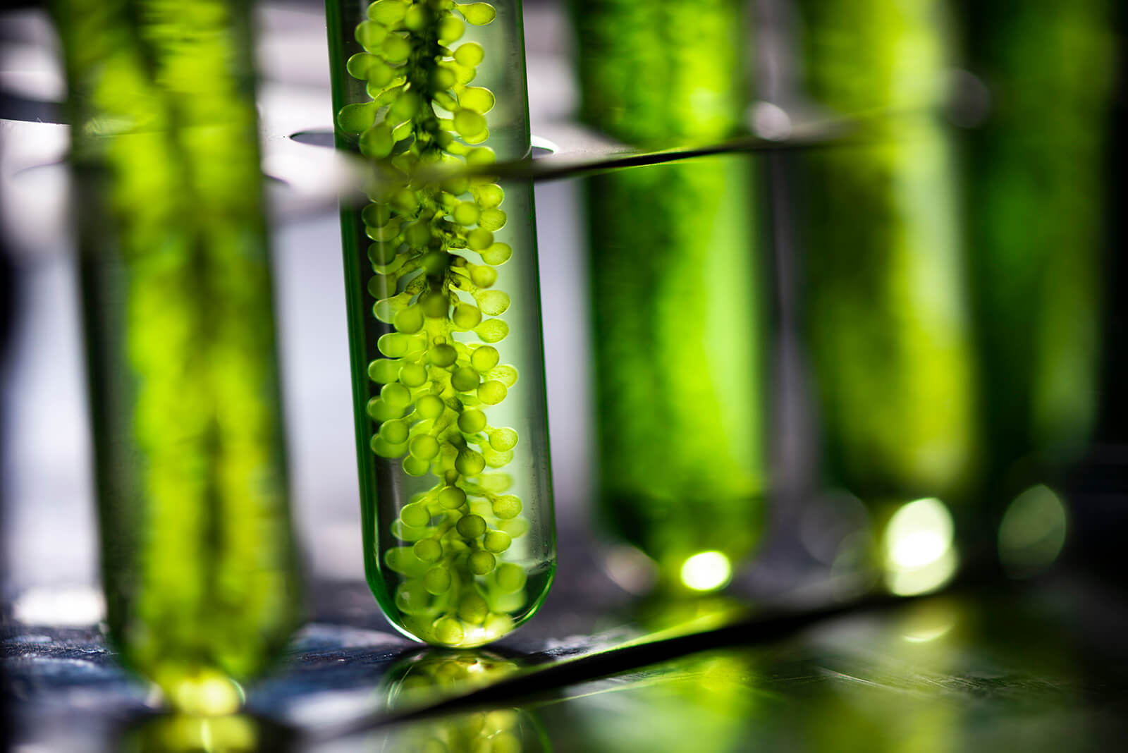 biotech header