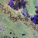esa biomass bolivian forest and landscape