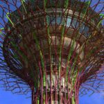 img portada arboles solares