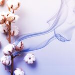 img portada textil co2