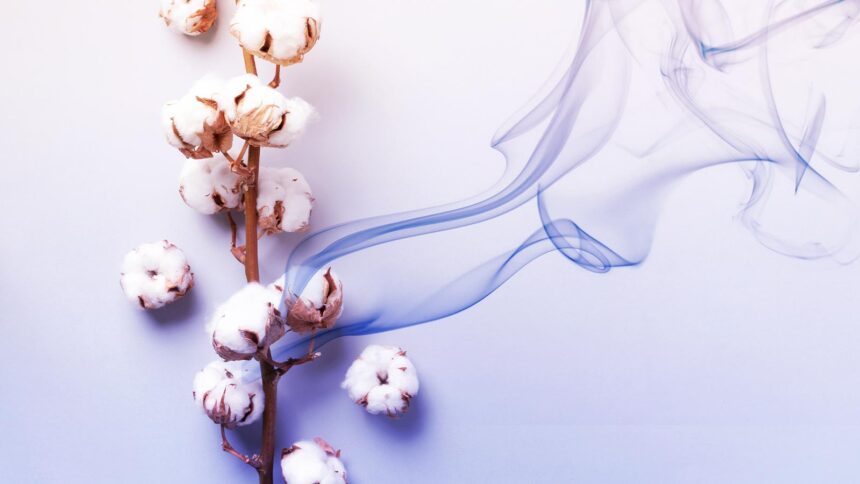 img portada textil co2