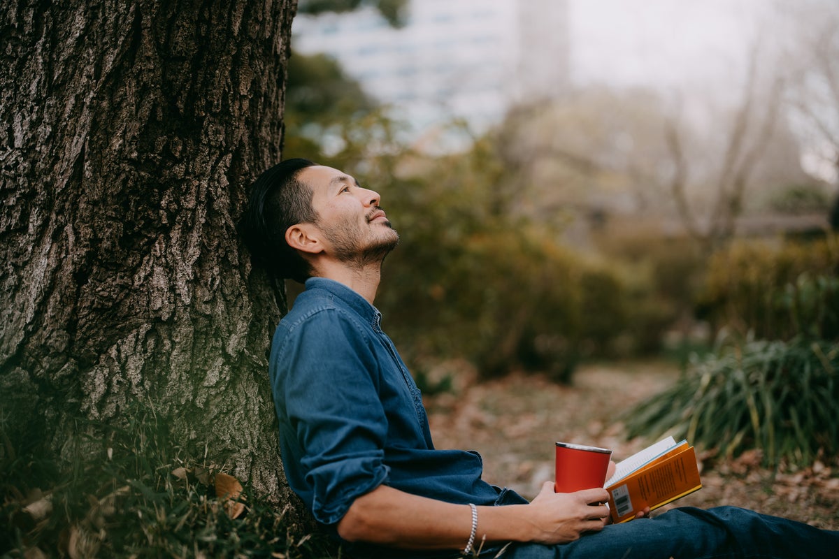 man resting on tree