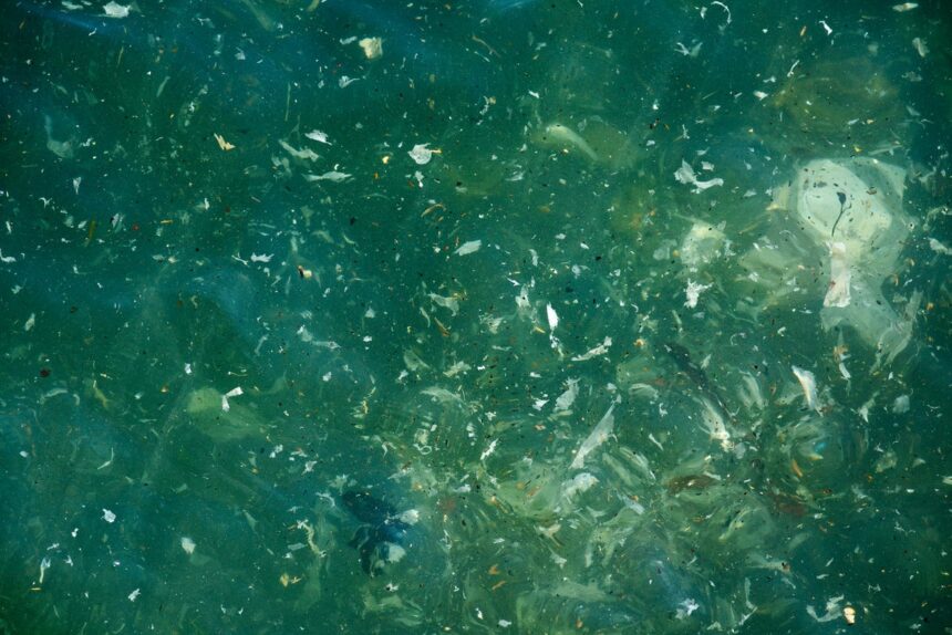 plastic floating in water at beach