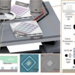 scientists unlock key 1