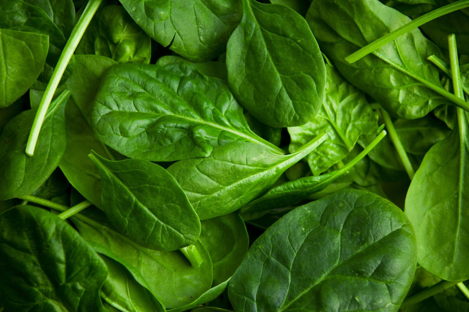 spinach header