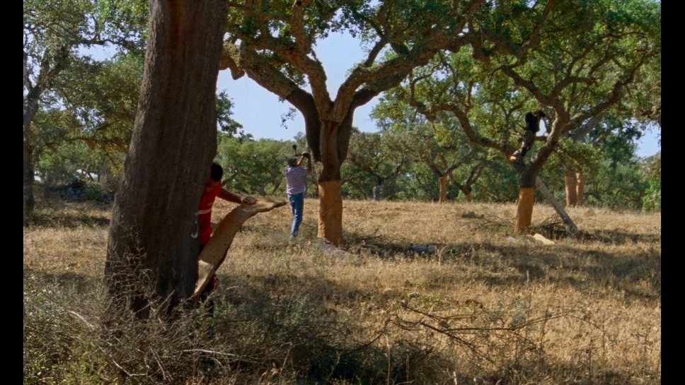 The Seasons film still 1 Marianne Andrea Borowiec 1