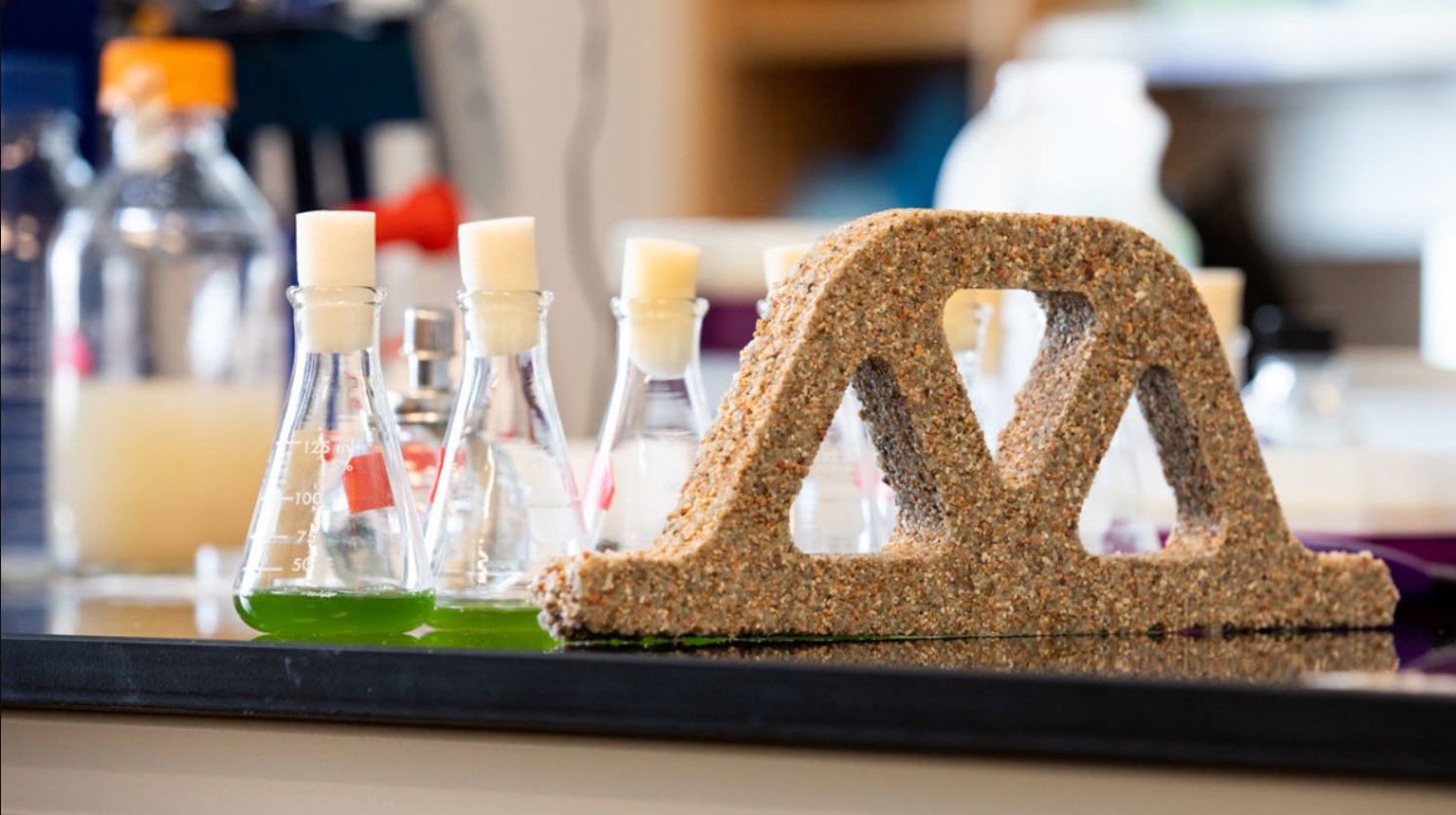 hormigon bacteria header
