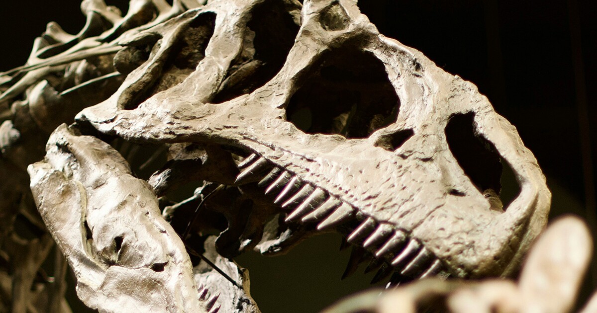Dinosaur teeth reveal ancient atmospheric secrets