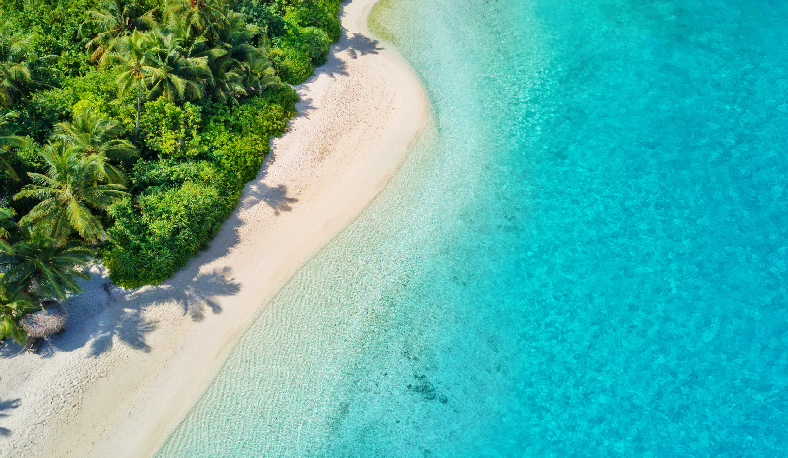 waves climate header