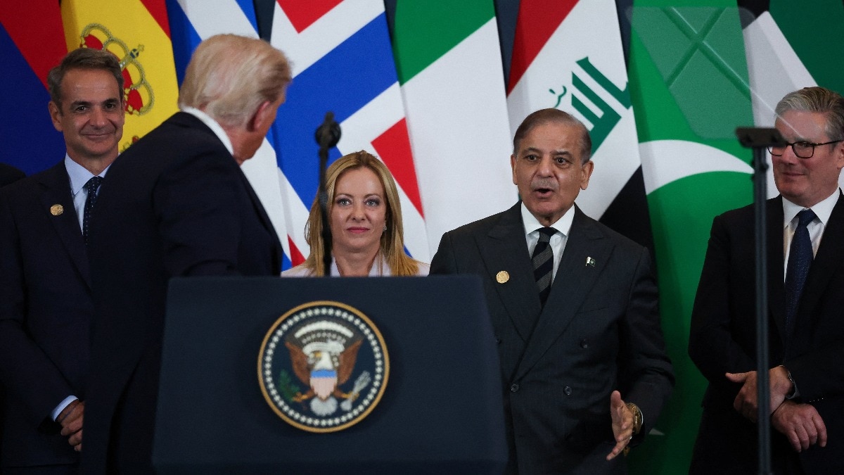 68ed7dbc7edd1 trump sharif 133118815