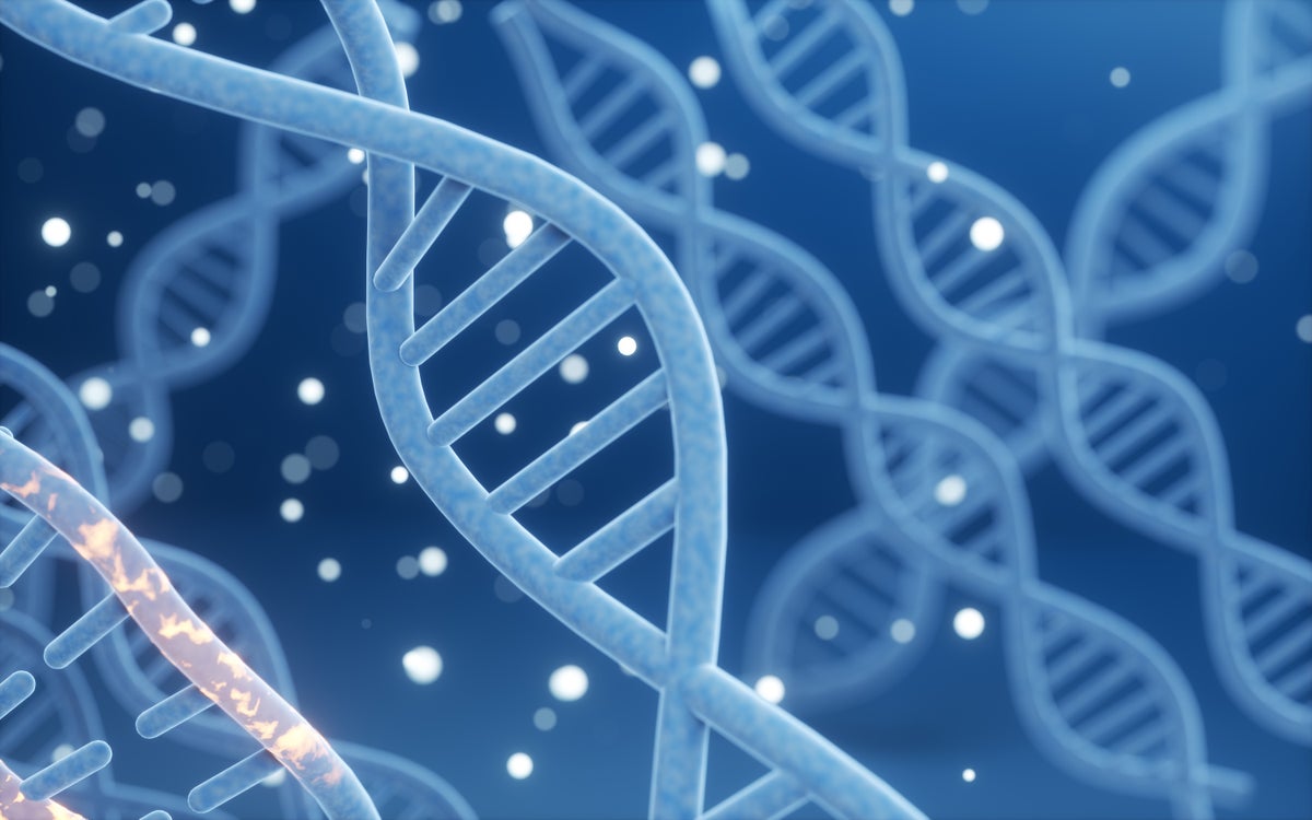 digital dna