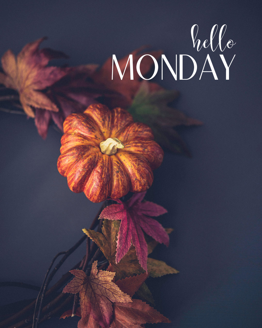 hello monday poll november 2023 fall
