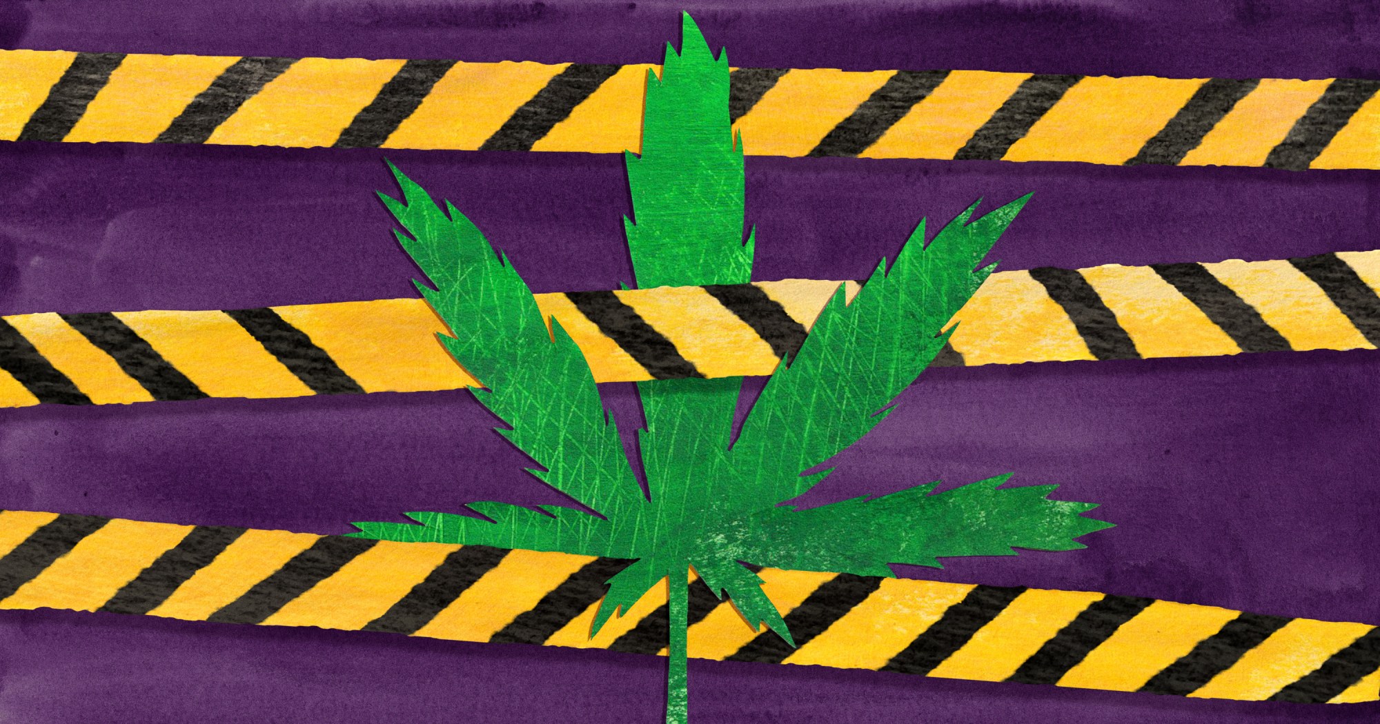 20260107 Gordon CO Hemp