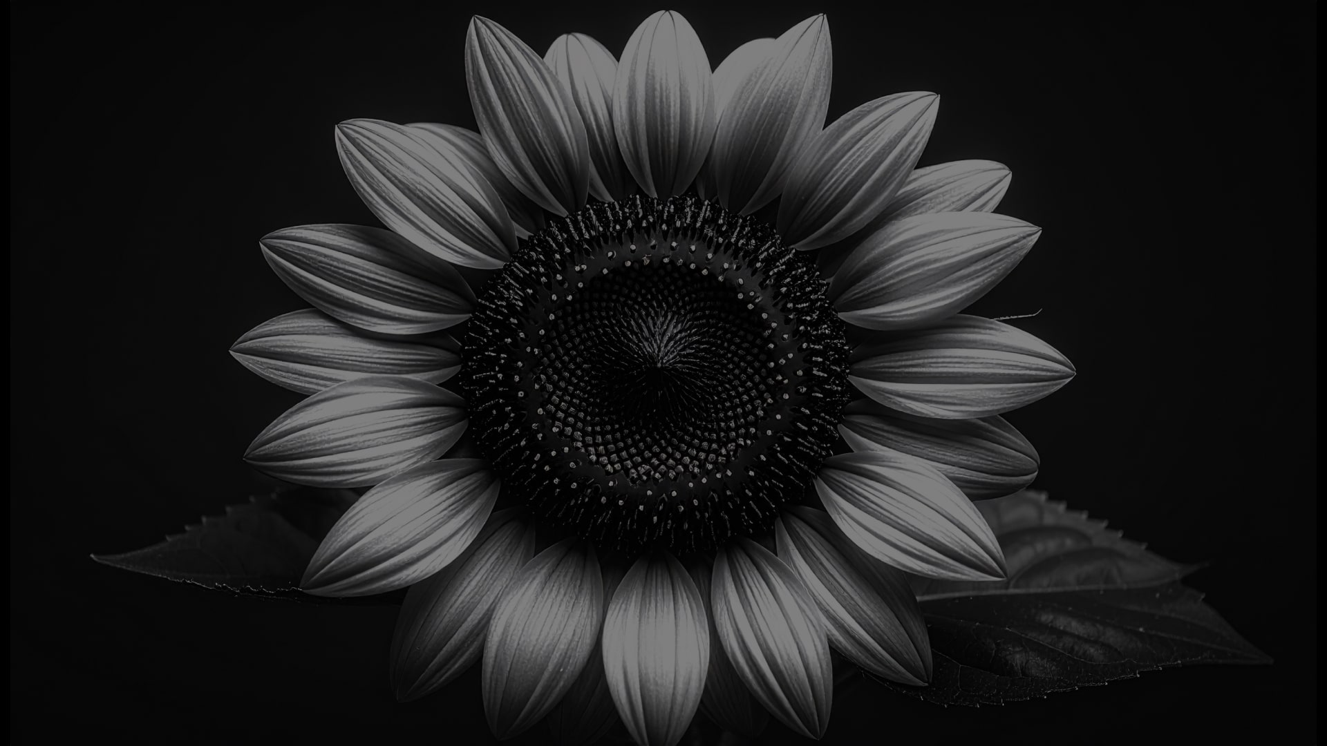 PL campaign storytelling