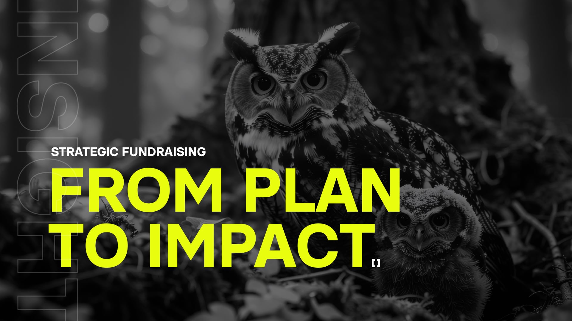 PL from plan to impact