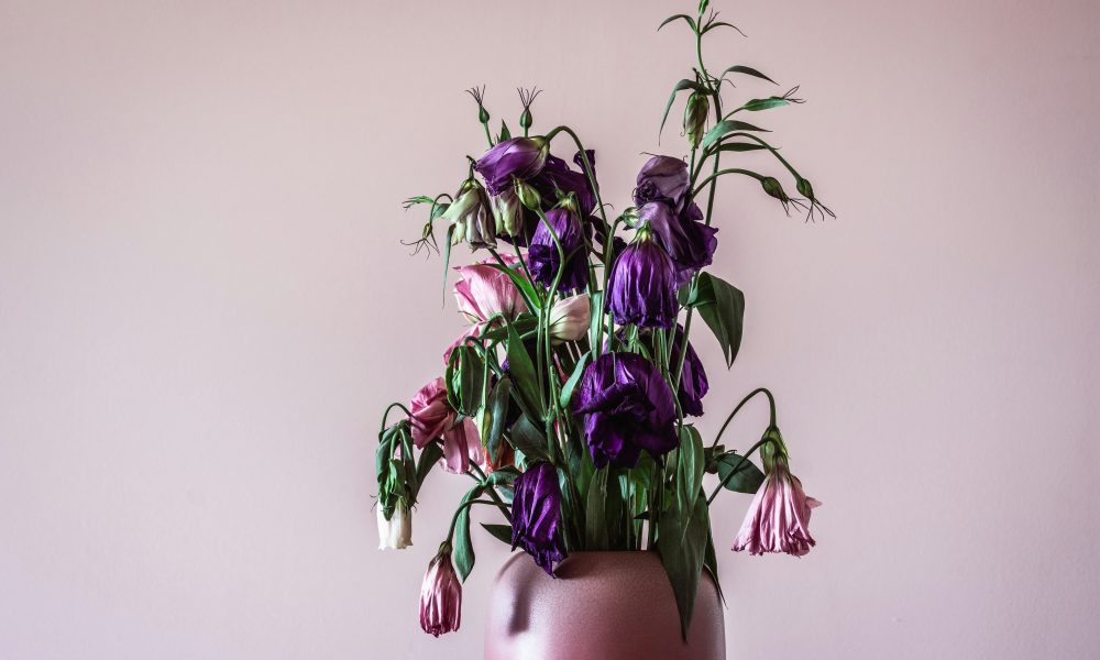 earl wilcox MlqQqXd6vKs unsplash