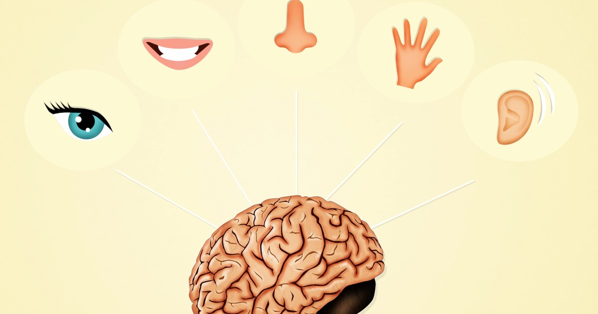 urlhttps3A2F2Fnewatlas brightspot.s3.amazonaws.com2F4e2Fa52Fb611c2f443ee97ada37a85b9f5272Fd