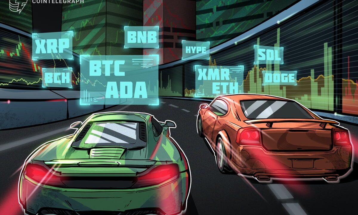 Is The Bull Market Back?