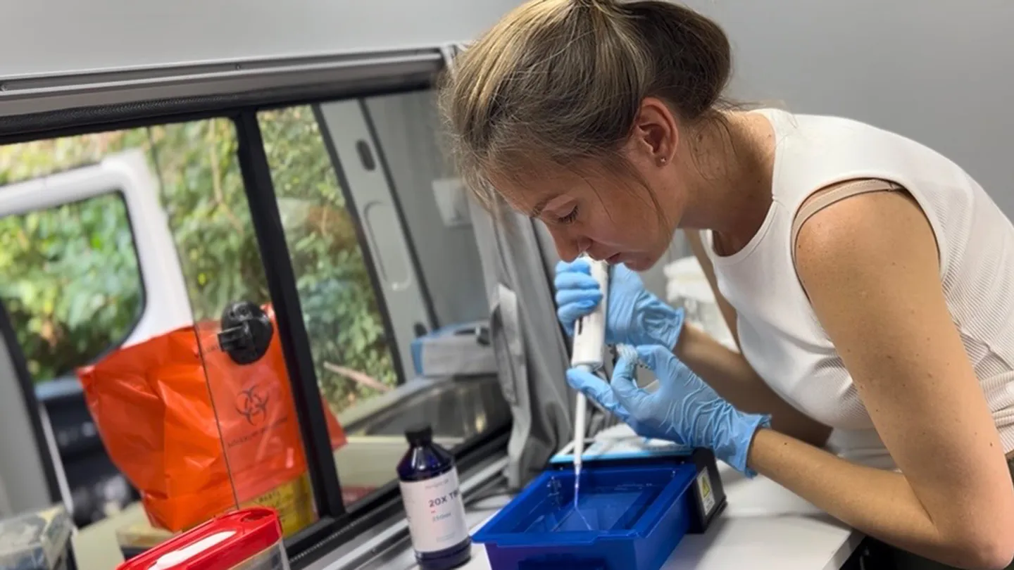 021226 kn HIV monitoring main