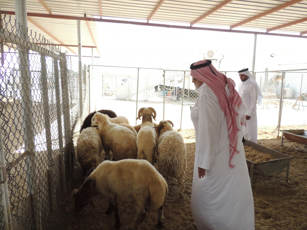 20260224 1771955547 368