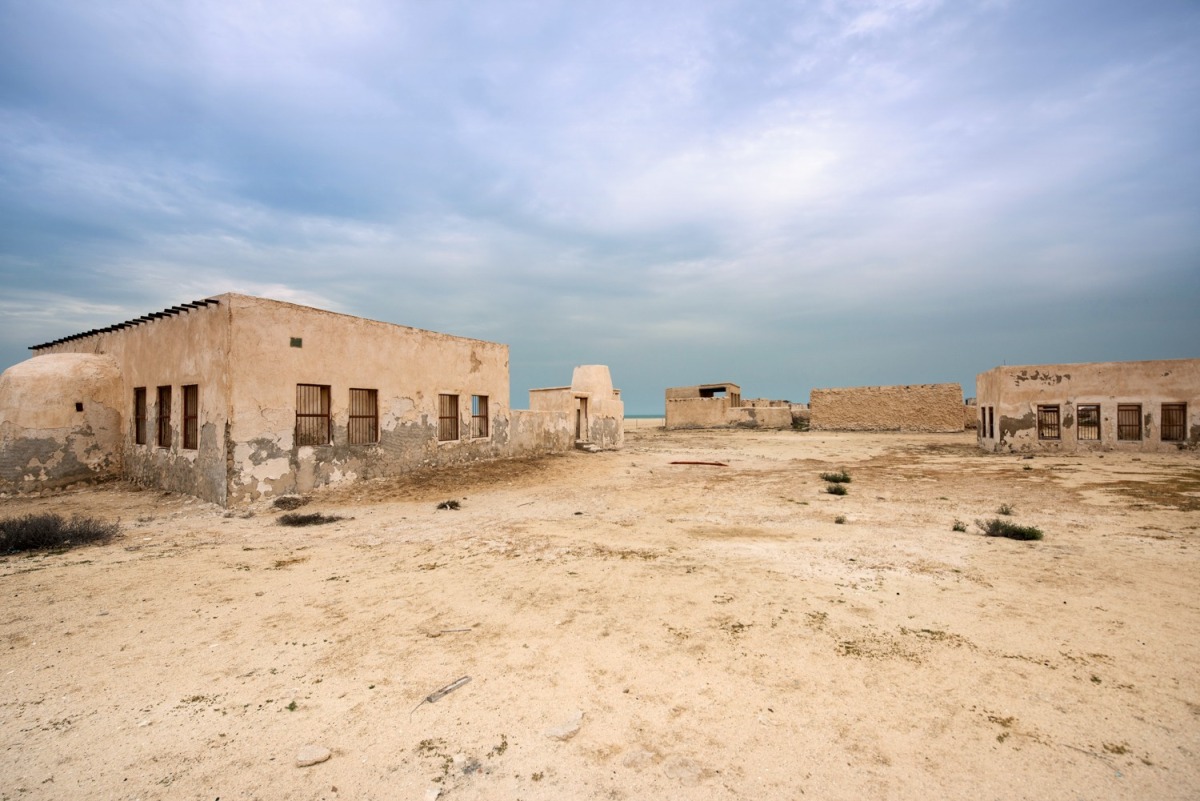 20260225 1772007731 556