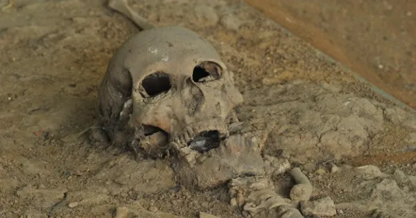 86cd53874854fd0bec4369625e2b29d0 859584153