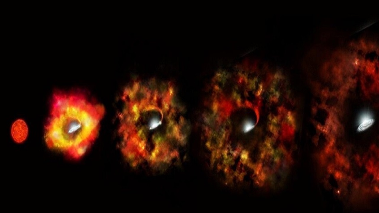 Doc P 556097 639066830854200656